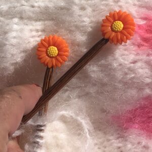 Chrysanthemum