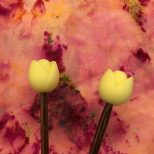 Tulipan