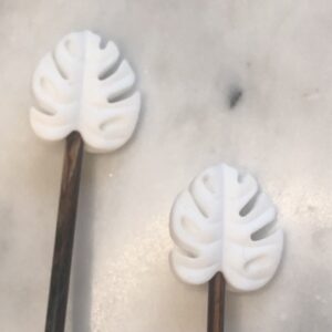 Monstera Blad