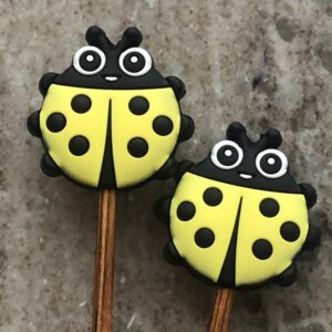 Ladybug