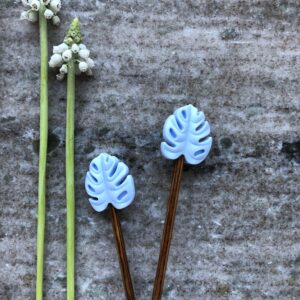 Monstera Blad