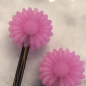Chrysanthemum