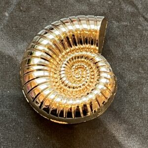 Ammonite